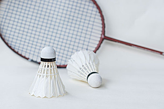 的卓越表现 的卓越表现