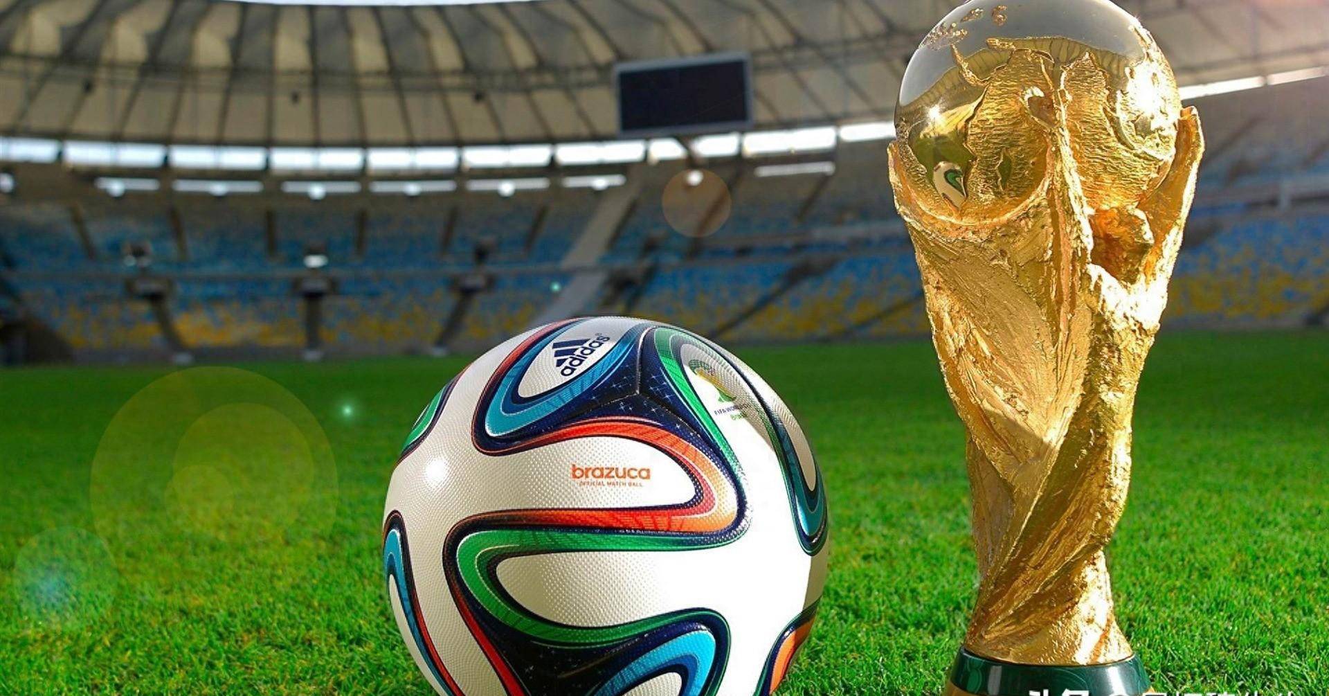 避免因情绪 避免因情绪