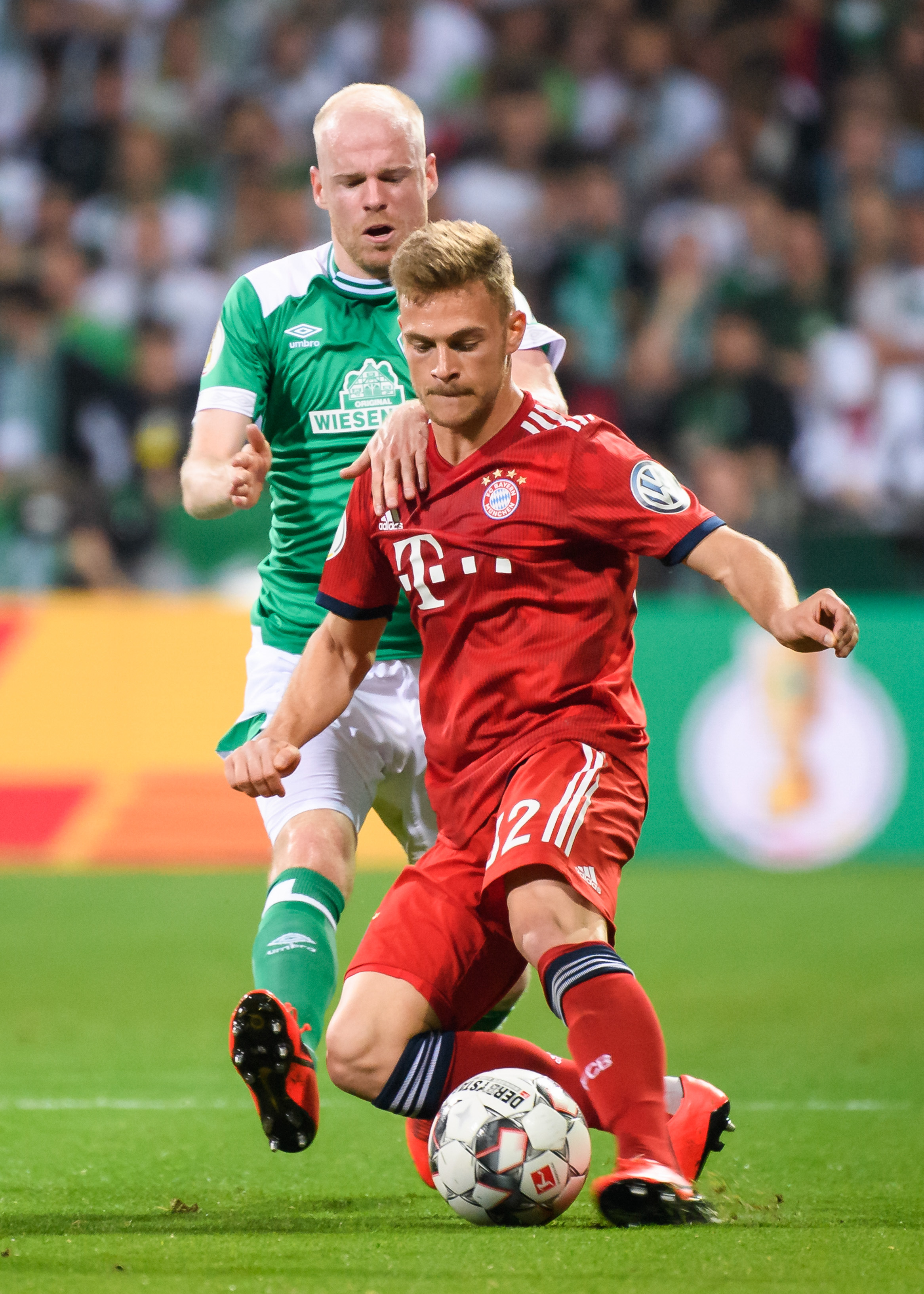 继续写多西 继续写多西