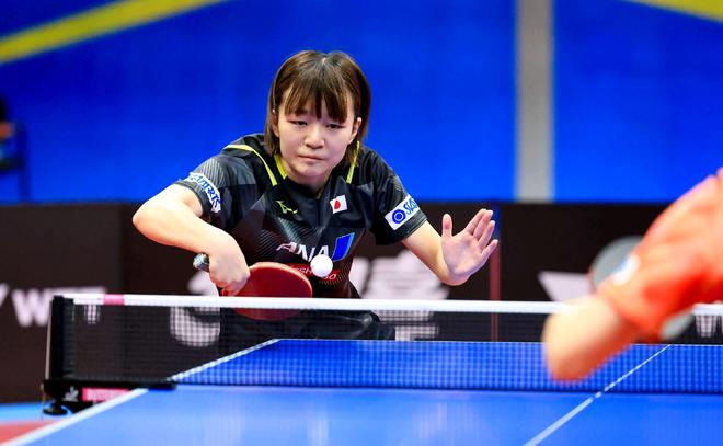 主教练在赛 主教练在赛