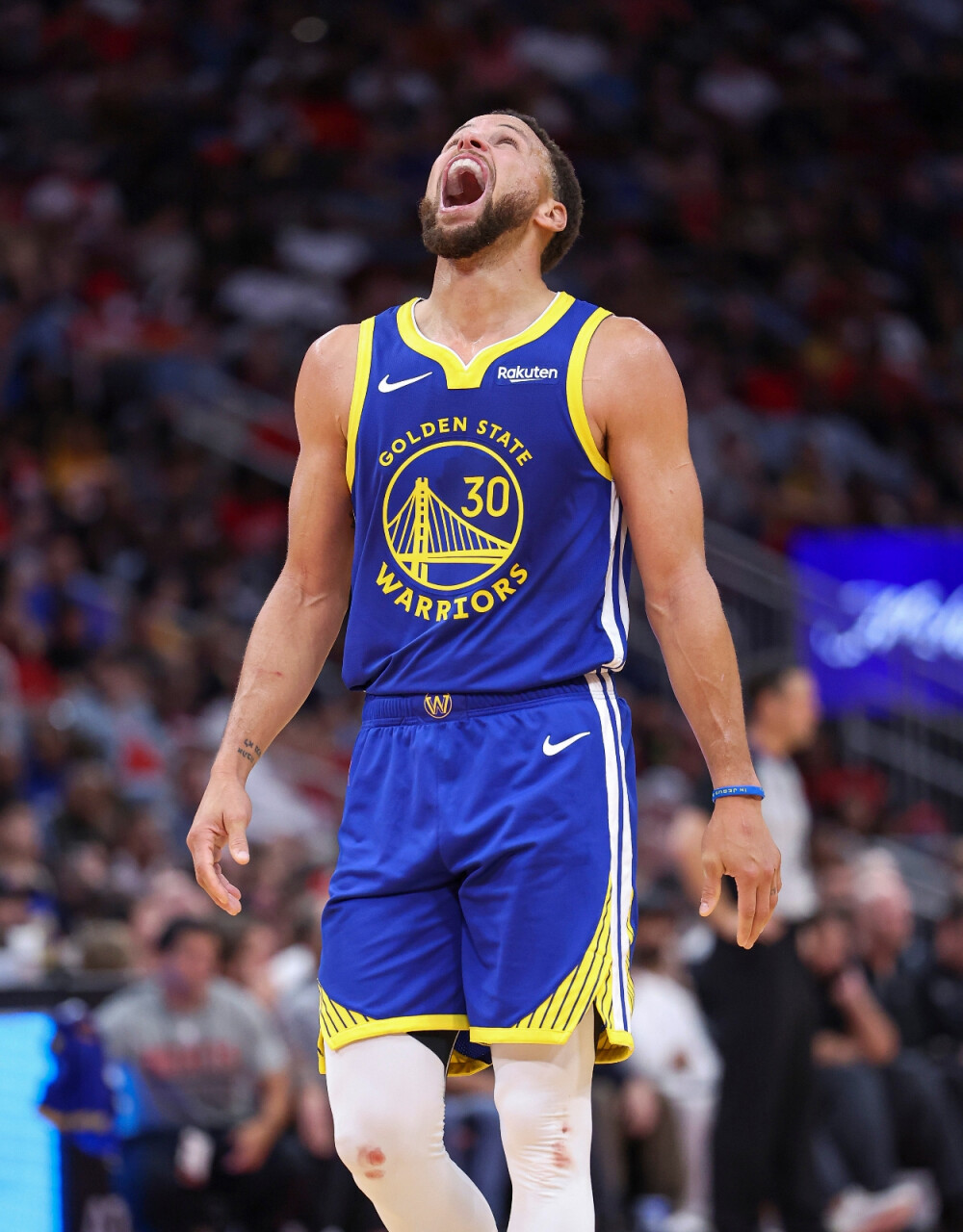 的回归不仅 的回归不仅